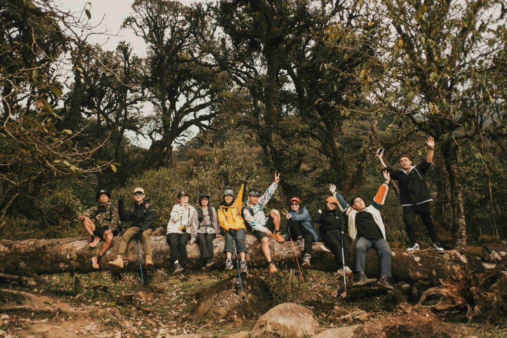 freecompress-pexels-dqnguyen15-20324723